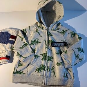Boys gray dinosaur hoodie